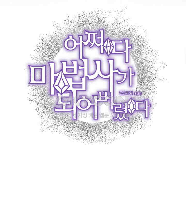 어쩌다 마법사가 되어버렸다 19 2
