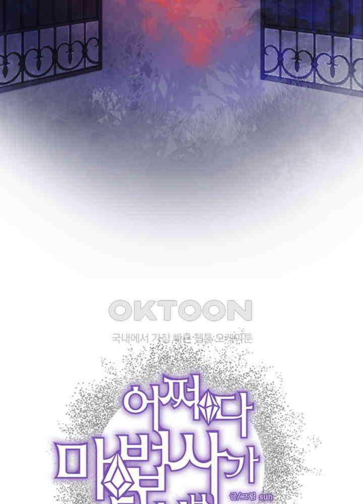 어쩌다 마법사가 되어버렸다 76 4