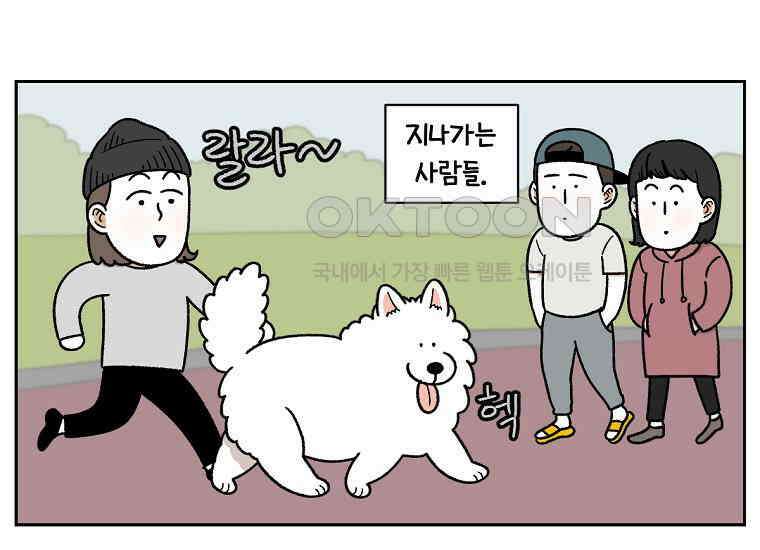 극한견주 시즌2 33화 대왕부숭발 3