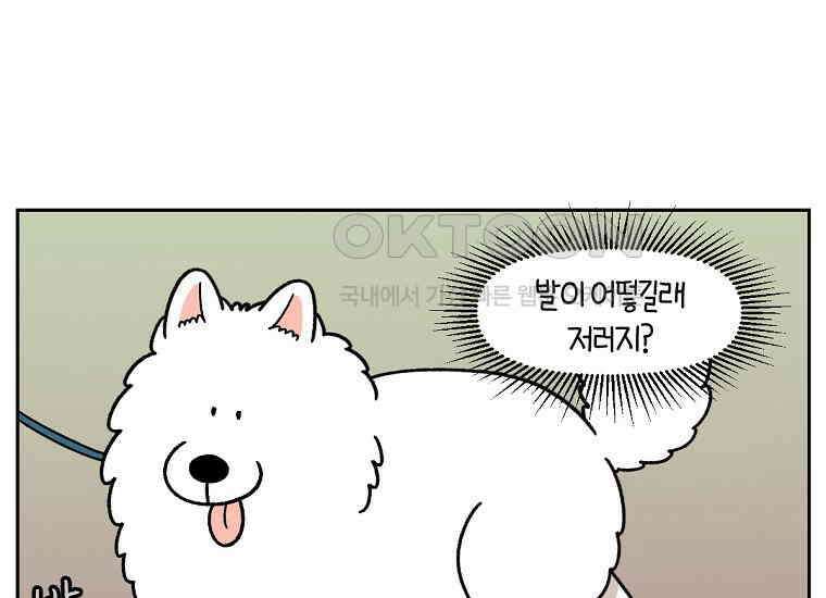 극한견주 시즌2 33화 대왕부숭발 7