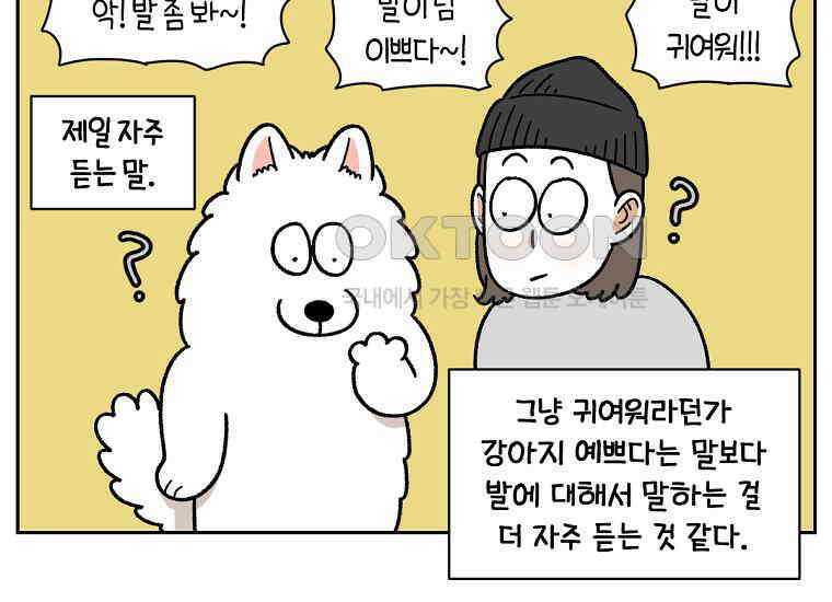극한견주 시즌2 33화 대왕부숭발 9
