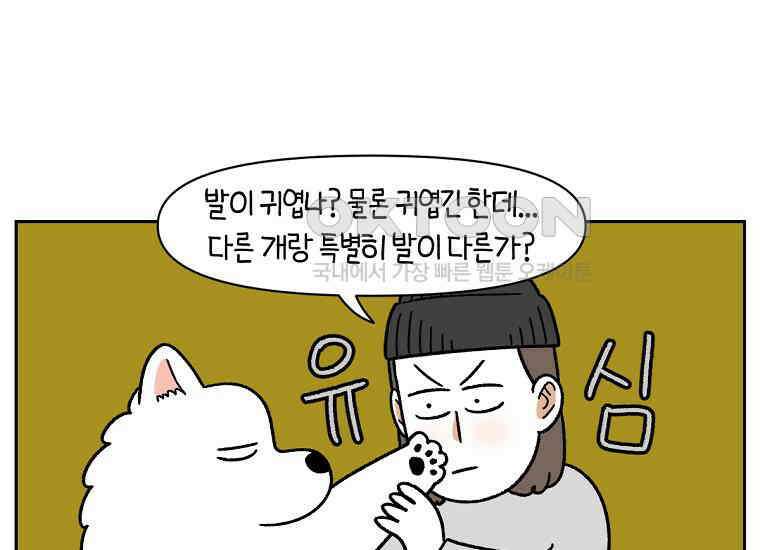 극한견주 시즌2 33화 대왕부숭발 10