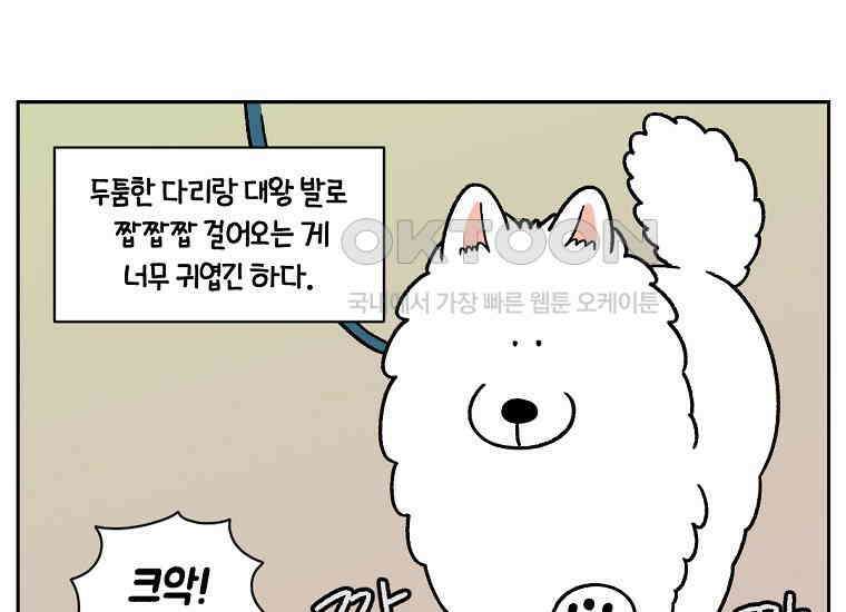 극한견주 시즌2 33화 대왕부숭발 13