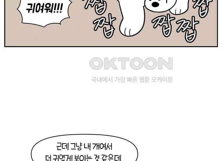 극한견주 시즌2 33화 대왕부숭발 14
