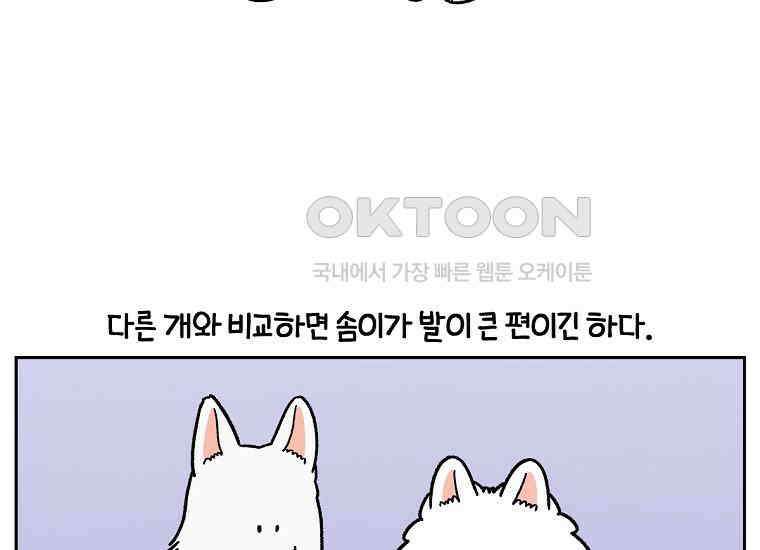 극한견주 시즌2 33화 대왕부숭발 16