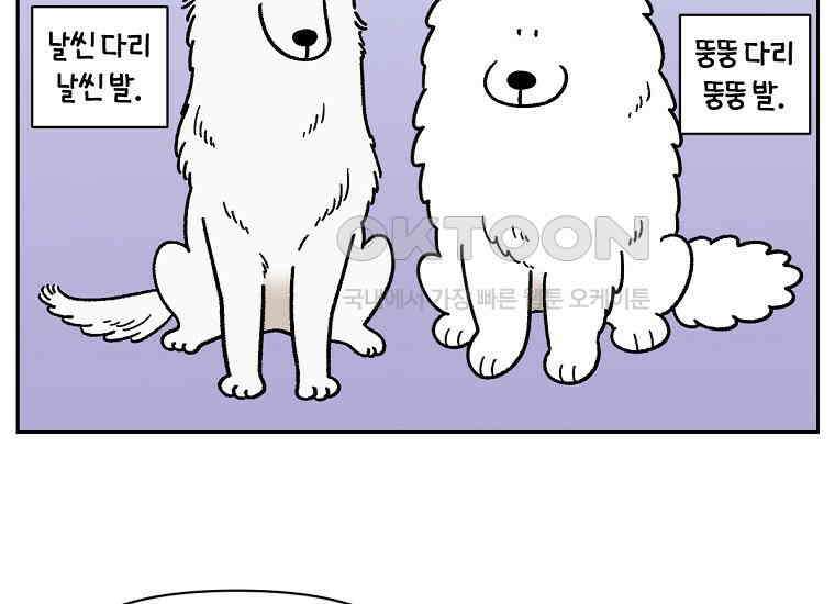 극한견주 시즌2 33화 대왕부숭발 17