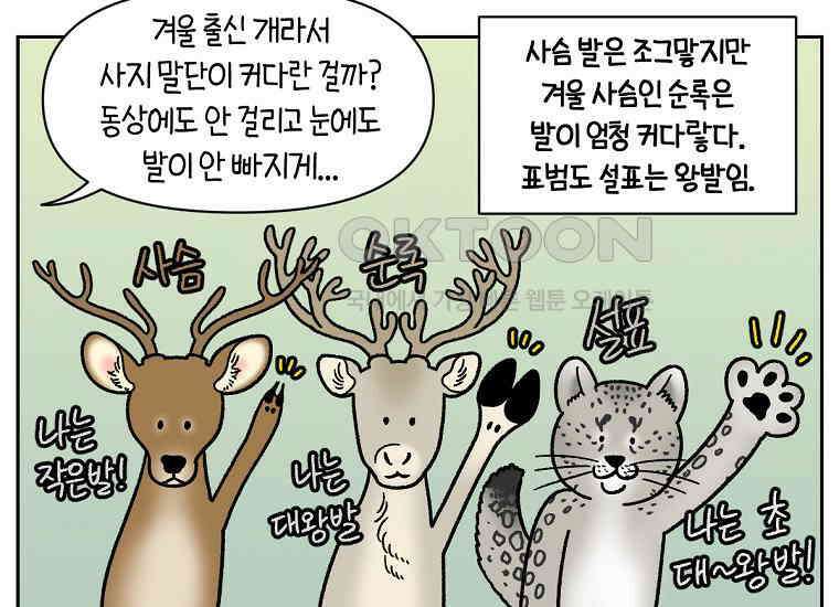 극한견주 시즌2 33화 대왕부숭발 18