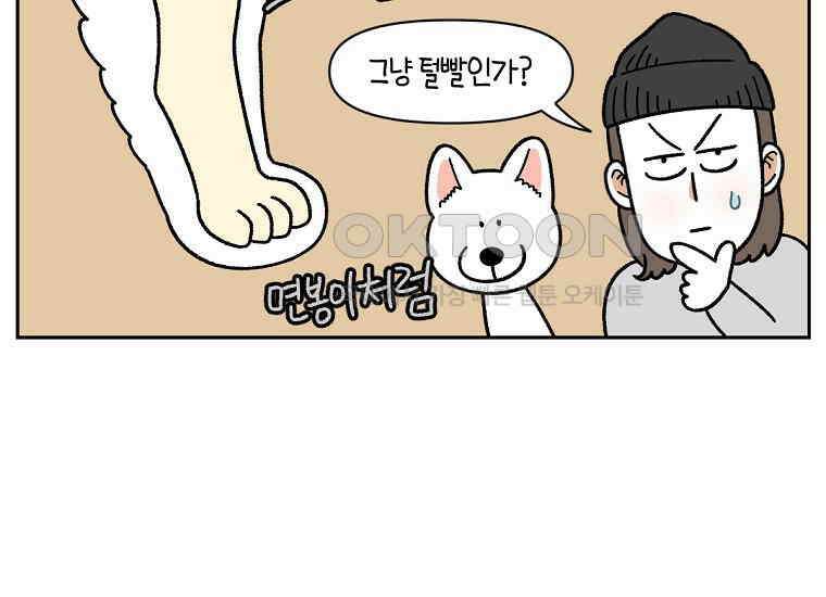 극한견주 시즌2 33화 대왕부숭발 20