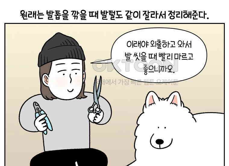 극한견주 시즌2 33화 대왕부숭발 21