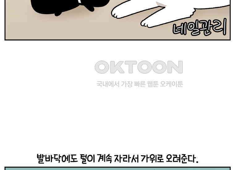 극한견주 시즌2 33화 대왕부숭발 22