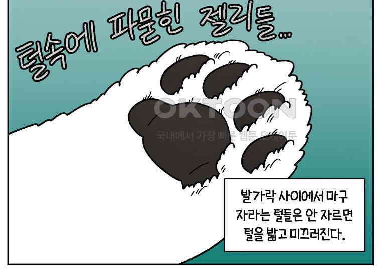 극한견주 시즌2 33화 대왕부숭발 23