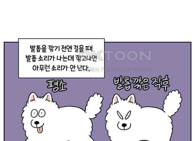 극한견주 시즌2 33화 대왕부숭발 27