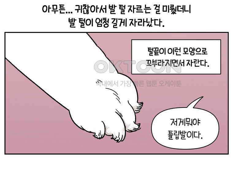 극한견주 시즌2 33화 대왕부숭발 30