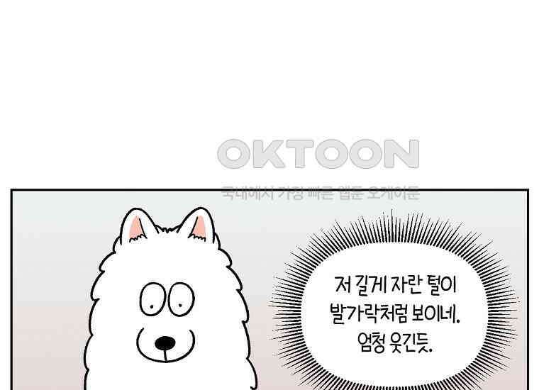 극한견주 시즌2 33화 대왕부숭발 31