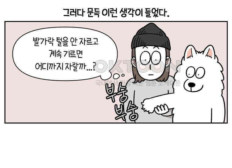 극한견주 시즌2 33화 대왕부숭발 33