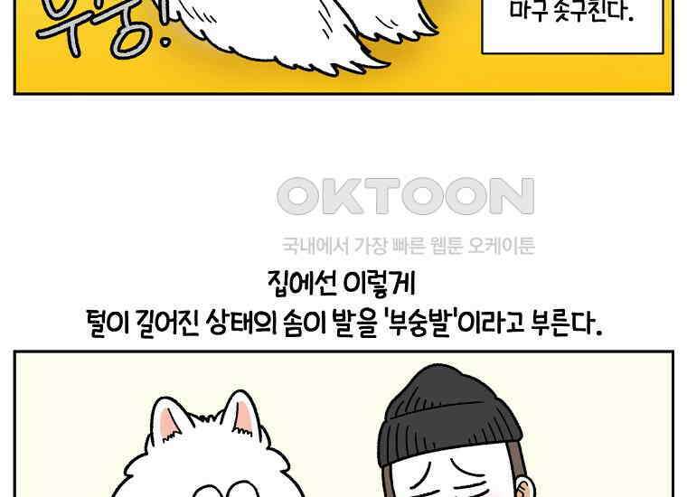 극한견주 시즌2 33화 대왕부숭발 35