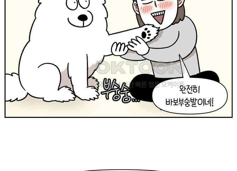 극한견주 시즌2 33화 대왕부숭발 36