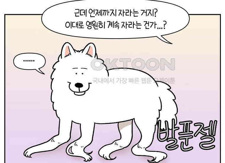 극한견주 시즌2 33화 대왕부숭발 37