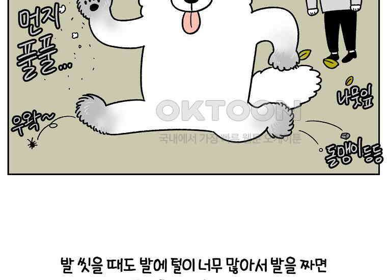 극한견주 시즌2 33화 대왕부숭발 39