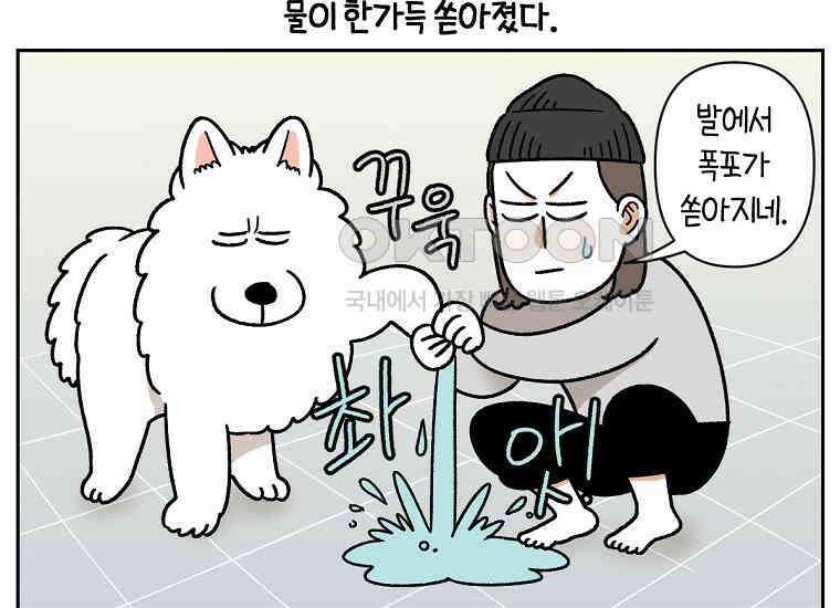 극한견주 시즌2 33화 대왕부숭발 40
