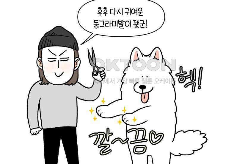 극한견주 시즌2 33화 대왕부숭발 43