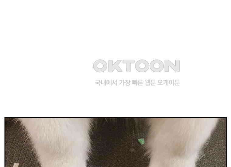 극한견주 시즌2 33화 대왕부숭발 46