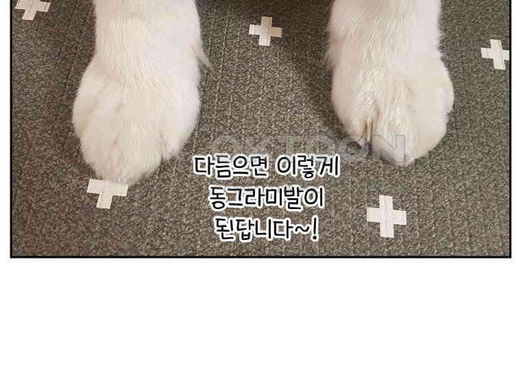 극한견주 시즌2 33화 대왕부숭발 47