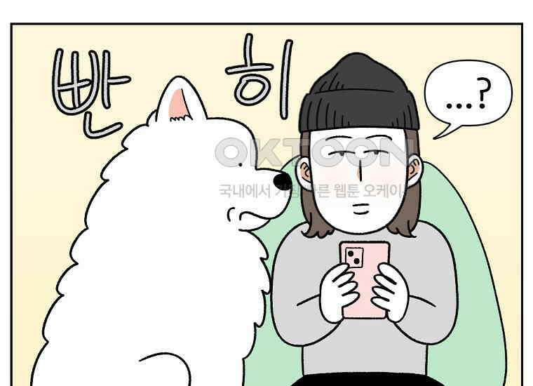 극한견주 시즌2 34화 솜이밥 만들기 3