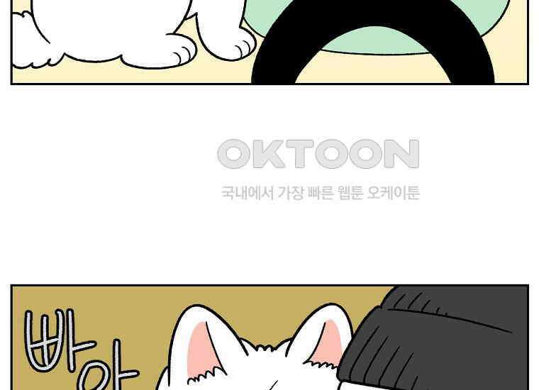 극한견주 시즌2 34화 솜이밥 만들기 4