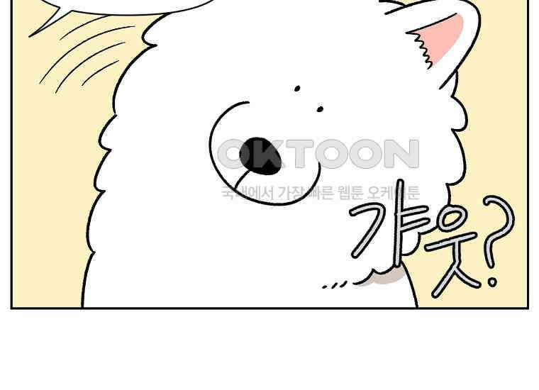 극한견주 시즌2 34화 솜이밥 만들기 8