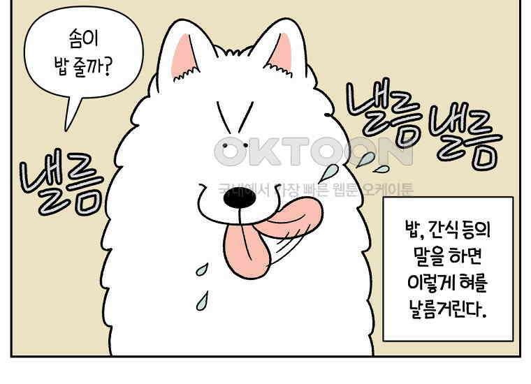 극한견주 시즌2 34화 솜이밥 만들기 11