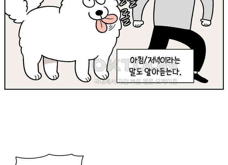 극한견주 시즌2 34화 솜이밥 만들기 13