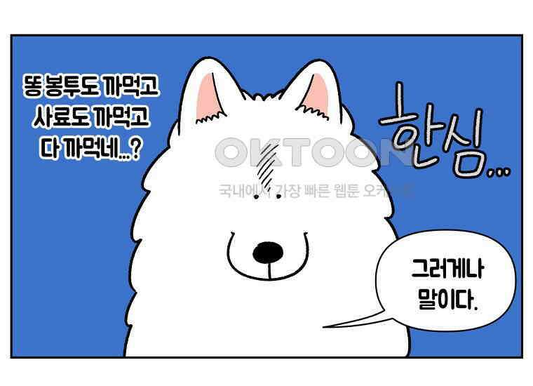 극한견주 시즌2 34화 솜이밥 만들기 22