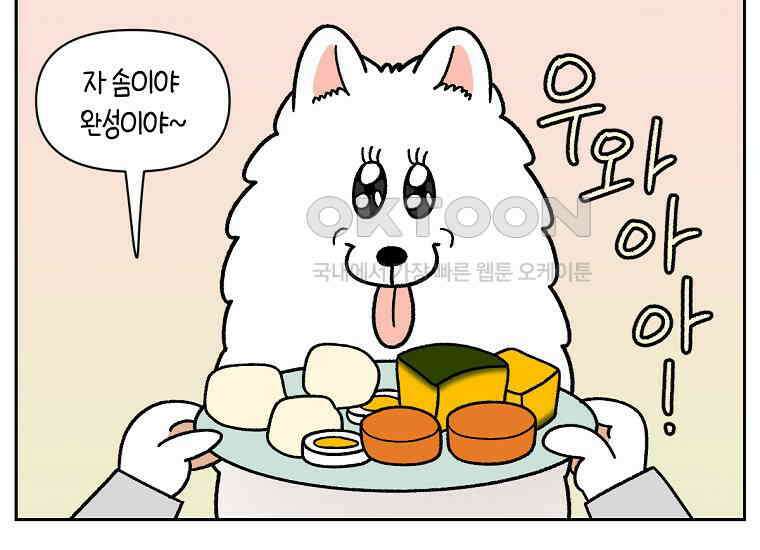 극한견주 시즌2 34화 솜이밥 만들기 32