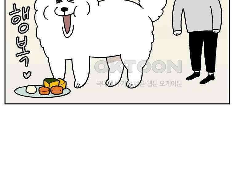 극한견주 시즌2 34화 솜이밥 만들기 34