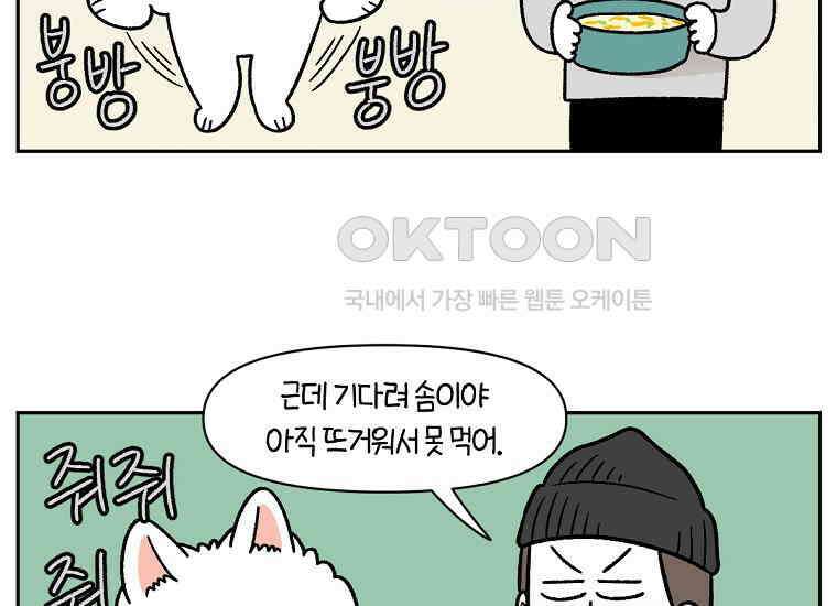 극한견주 시즌2 34화 솜이밥 만들기 39