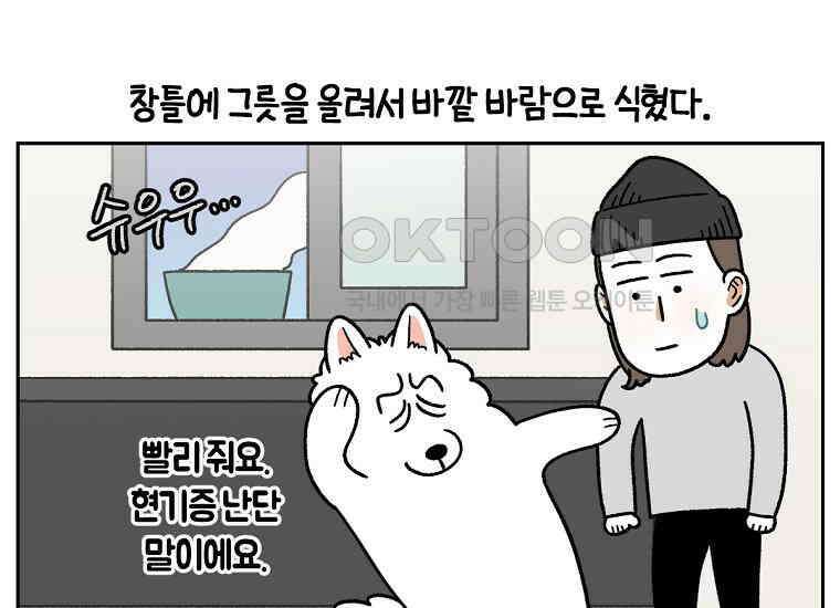 극한견주 시즌2 34화 솜이밥 만들기 41