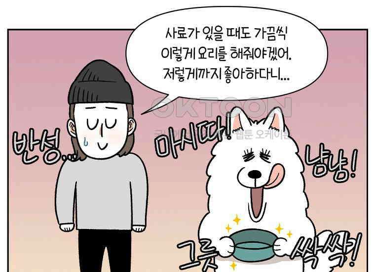 극한견주 시즌2 34화 솜이밥 만들기 47