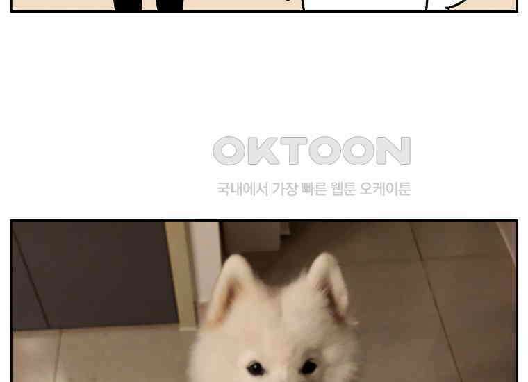 극한견주 시즌2 34화 솜이밥 만들기 48