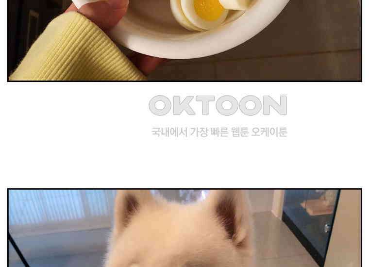 극한견주 시즌2 34화 솜이밥 만들기 50