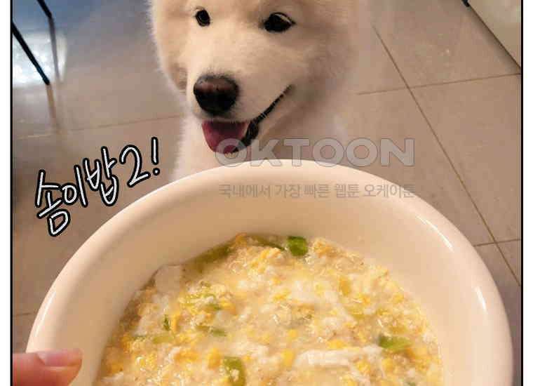극한견주 시즌2 34화 솜이밥 만들기 51