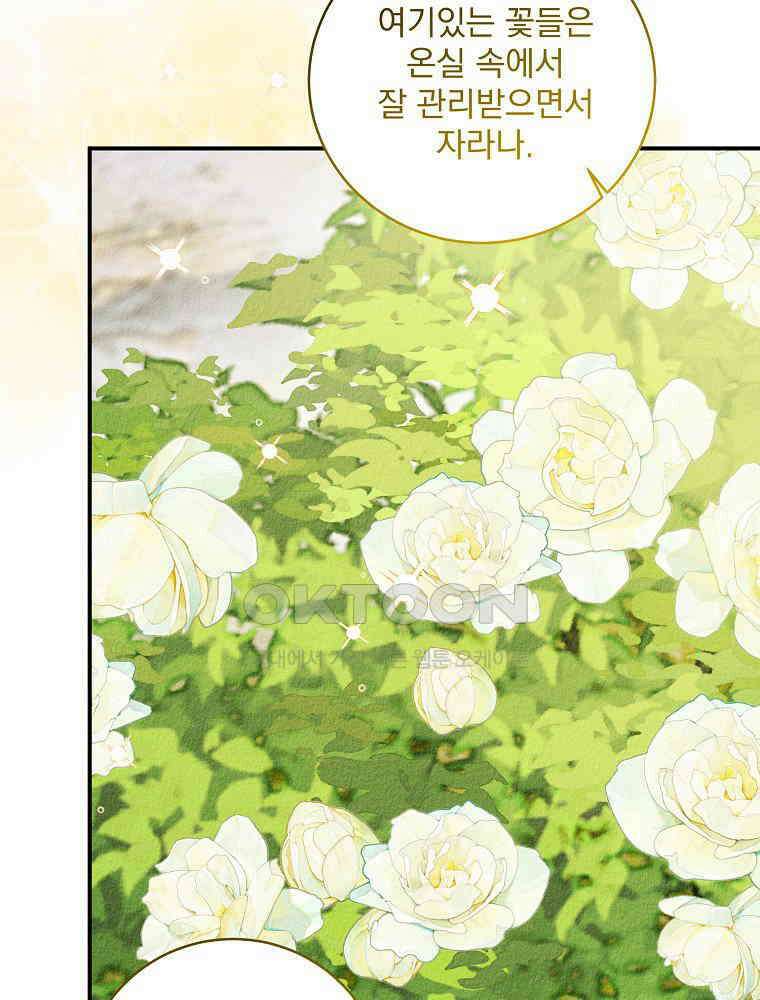알리사와 마법일기 25화 102