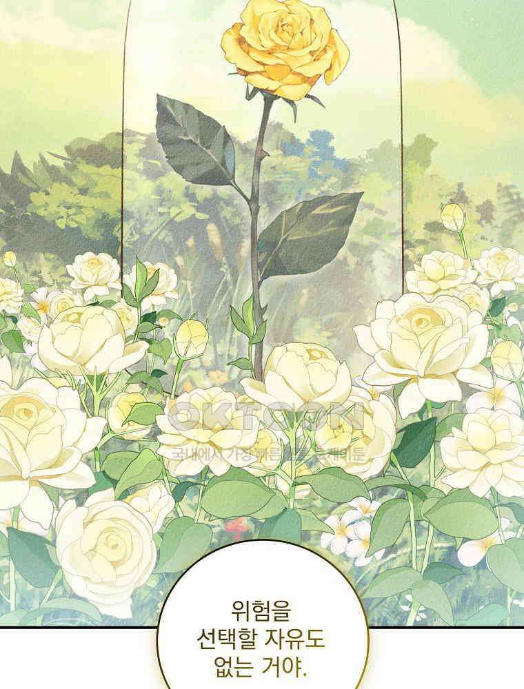 알리사와 마법일기 25화 105