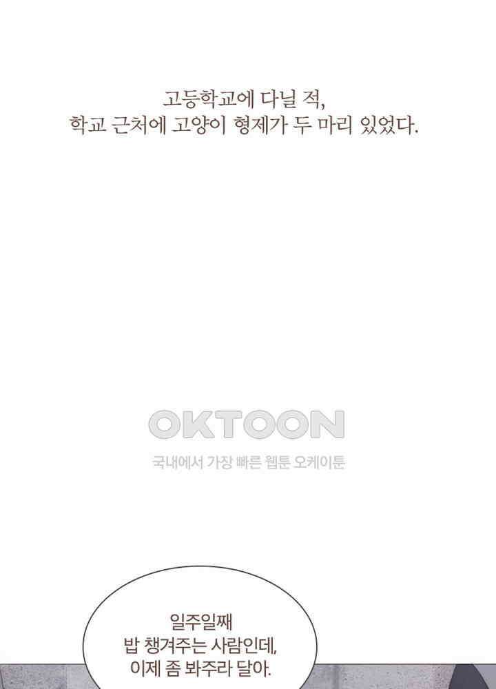 이번에는 닿기를 48화 3
