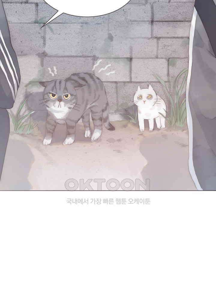이번에는 닿기를 48화 4