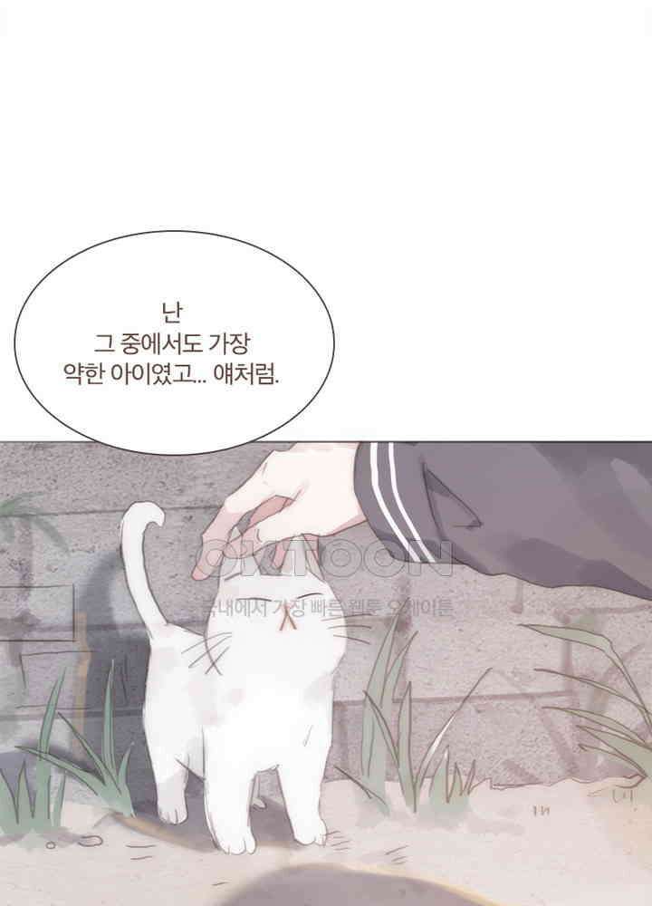 이번에는 닿기를 48화 15