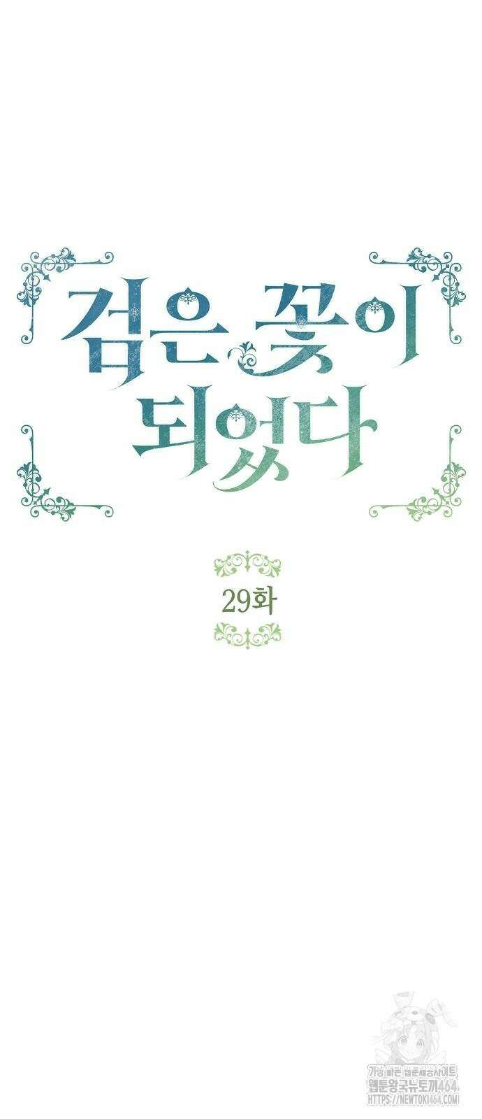검은 꽃이 되었다 29화 10