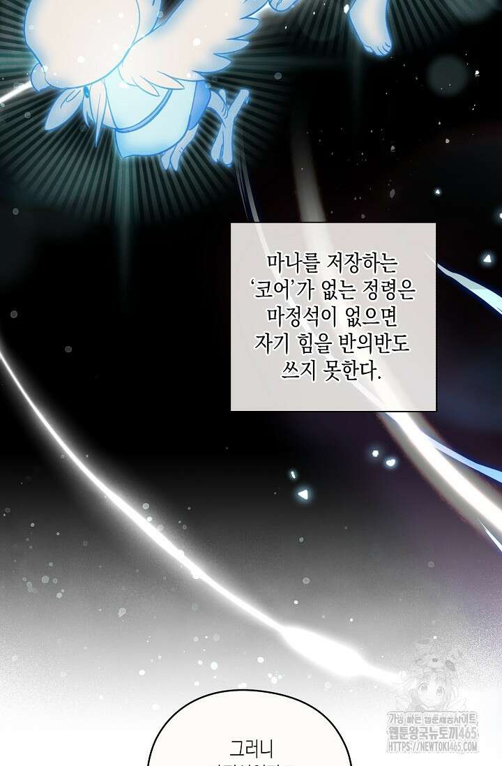 S급 정령사의 테이밍 일기 6화 9