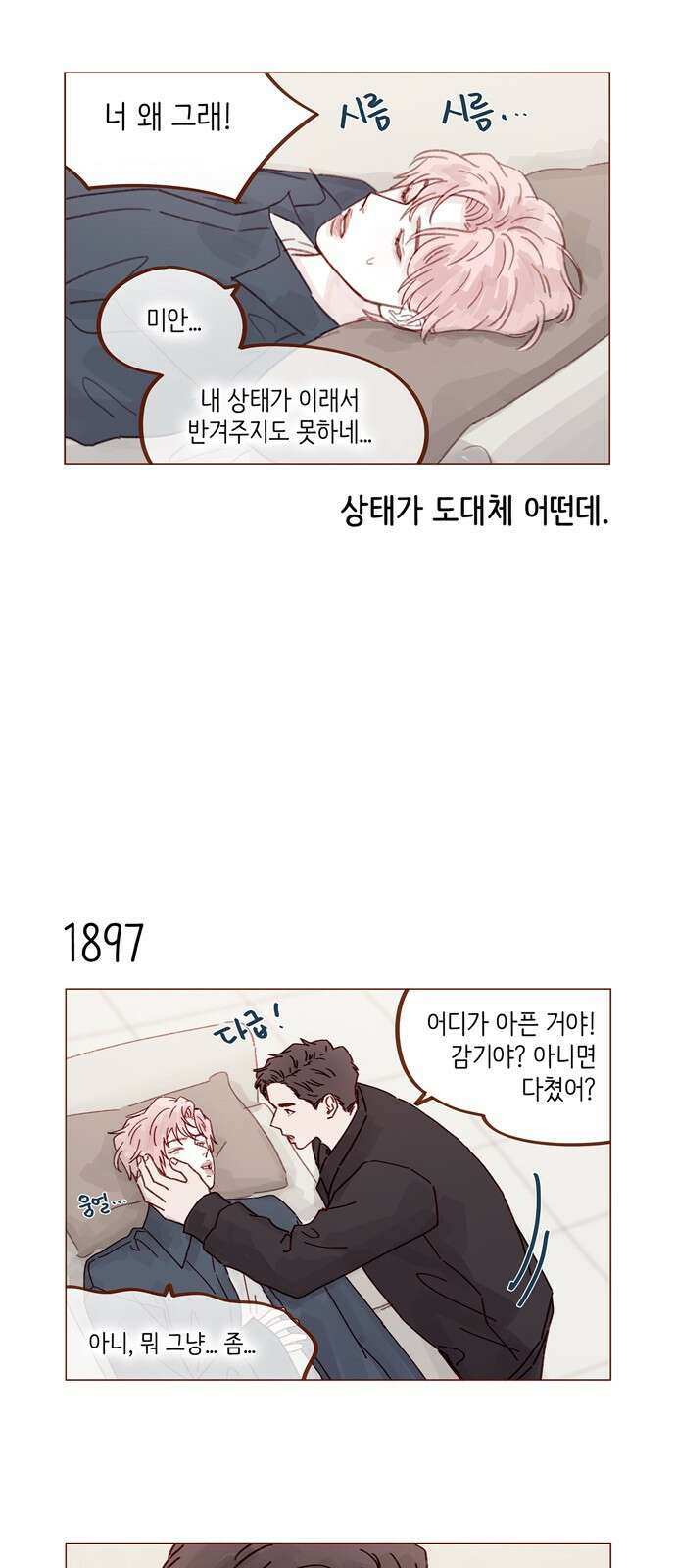 홍시는 날 좋아해! 291화 : 오늘은 우리 집에서 자자 11