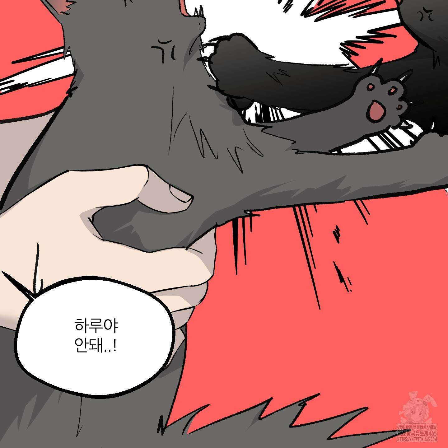 행방불명 로맨스 41화 43